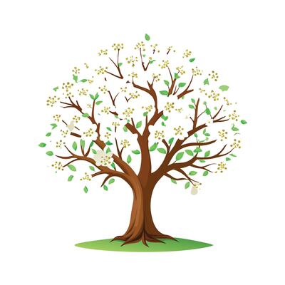 Beautiful Single Big Tree Illustration