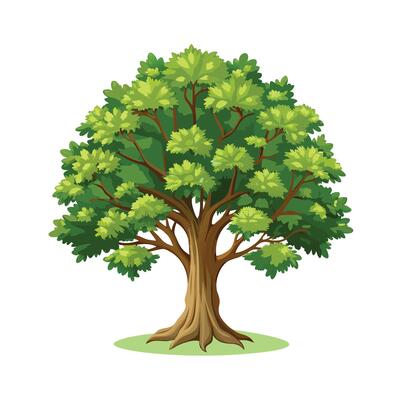 Beautiful Single Big Tree Illustration