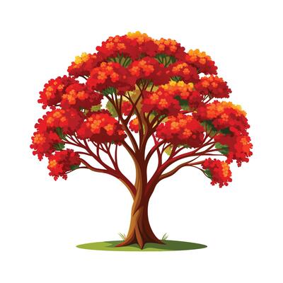Beautiful Single Big Tree Illustration