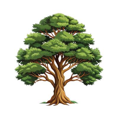Beautiful Single Big Tree Illustration