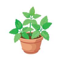 Realistic hand-drawn versatile potted houseplant vector