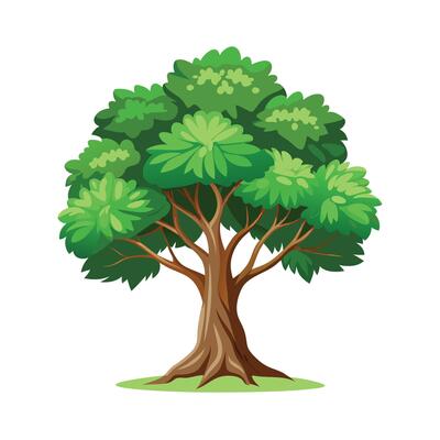 Beautiful Single Big Tree Illustration