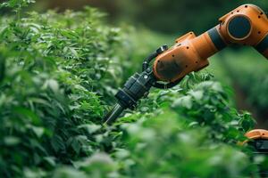Robotic arm harvesting crops in a modern farm. Innovation and technology in agriculture photo