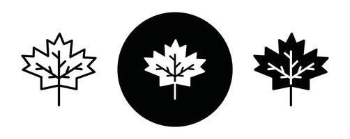 Maple leaf outline icon collection or set. Maple leaf Thin line art vector