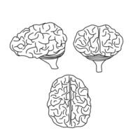 human brain silhouette design. intelligence sign and symbol. knowledge and brainstorming concept. vector