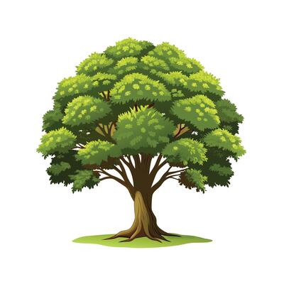 Beautiful Single Big Tree Illustration