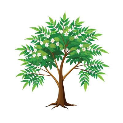 Beautiful Single Big Tree Illustration