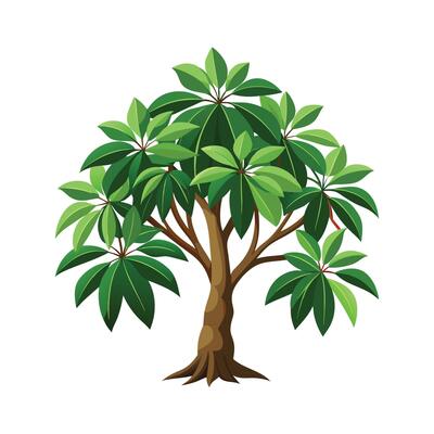 Beautiful Single Big Tree Illustration