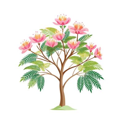 Beautiful Single Big Tree Illustration