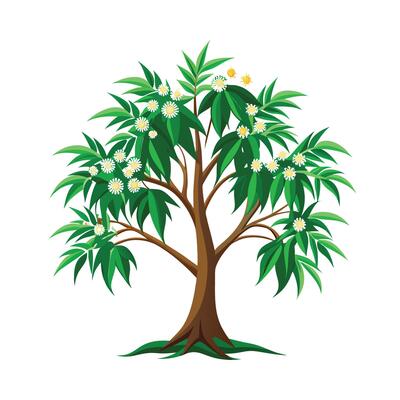 Beautiful Single Big Tree Illustration
