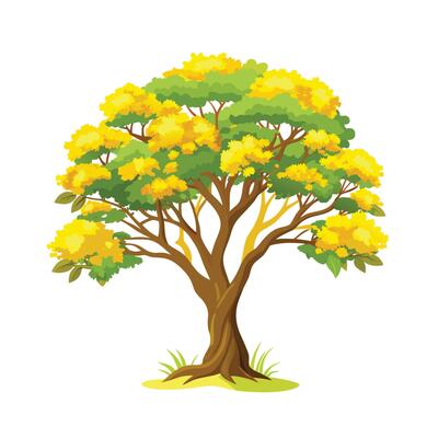Beautiful Single Big Tree Illustration