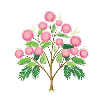 Beautiful Single Big Tree Illustration