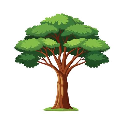 Beautiful Single Big Tree Illustration