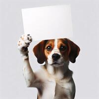 Cute realistic dog holding up a white sign on which text can be inserted, all isolated on a white background photo
