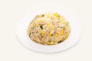 Shredded Pork Fried Rice served in plate isolated on grey background side view of hong kong food photo