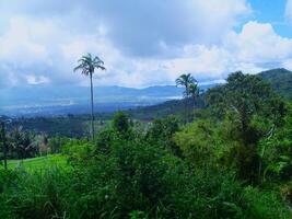 Beautiful views along the Mount Mahawu trekking route photo