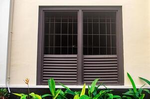 beautiful old windows on old buildings from the Dutch colonial era in Indonesia. foreground grass or ornamental plants photo