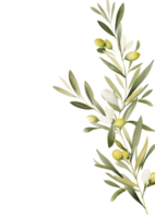 Fleaves, flowers, and olive leaves design elements Transparent background png