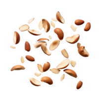 Falling Brazil nuts with Transparent Background png