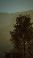 Scenic landscape with steep cliffs and trees during a sunny day video