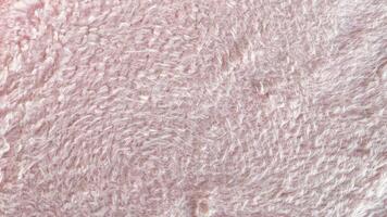 Close-up of soft pink fluffy fabric texture. Ideal for backgrounds, textures, or overlays photo