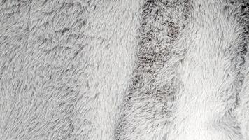 Close-up of soft, fluffy gray fur texture. Ideal for backgrounds, overlays, and design projects photo