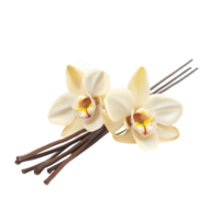 Bouquet of White Orchids with Yellow Centers Tied with Clear String on Transparent background AI-Generative png