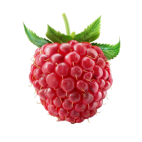 Fresh Ripe Raspberry with Leaves on Transparent background AI-Generative png