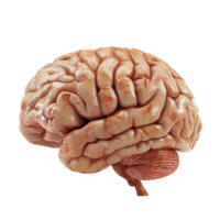 Intellectual Object Isolated on Transparent background AI-Generative png