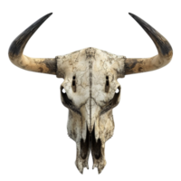 Skull with Long Curved Horns and Dark Eye Sockets on Transparent background AI-Generative png