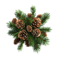 Pine Cone with Pine Needles Illustration on Transparent background AI-Generative png