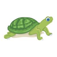 WebAn icon of tortoise designed in flat style vector