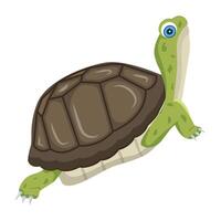 WebA cute flat style icon of turtle vector