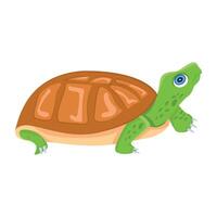 WebA cute flat icon of freshwater turtle vector