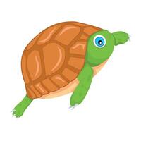 WebAn icon of cute terrapin in flat style vector