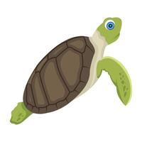 WebFlat style icon of cute marine turtle vector