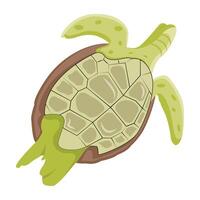 WAn icon of sea chelonian in flat style eb vector