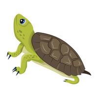 WeA flat style icon of testudines b vector