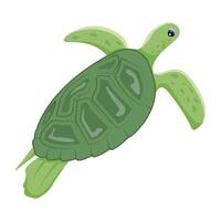 An icon of pond turtle in flat style Web vector