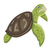 WebCoastal turtle icon in flat style vector