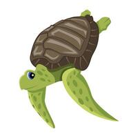 WebA flat style icon of leatherback vector