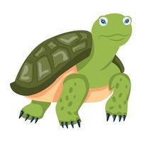 WebCute turtle icon in flat style vector