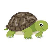 WebCommon tortoise icon in flat style vector