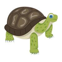 WebAn icon of tortoise designed in flat style vector