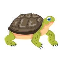 WebA flat style icon of testudines vector