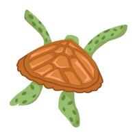 WebA flat style icon of sea tortoise vector