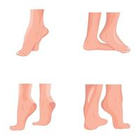 WebSet of 04 Human Feet Flat Icons vector