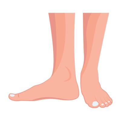 WebFemale feet icon in flat style