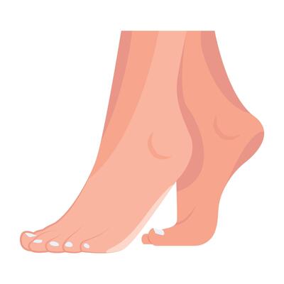 WebA flat style icon of lady soles