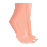WebAn icon of foot heels in flat style vector